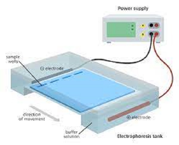 Công nghệ điện di ion được ứng dụng trong máy Liplop